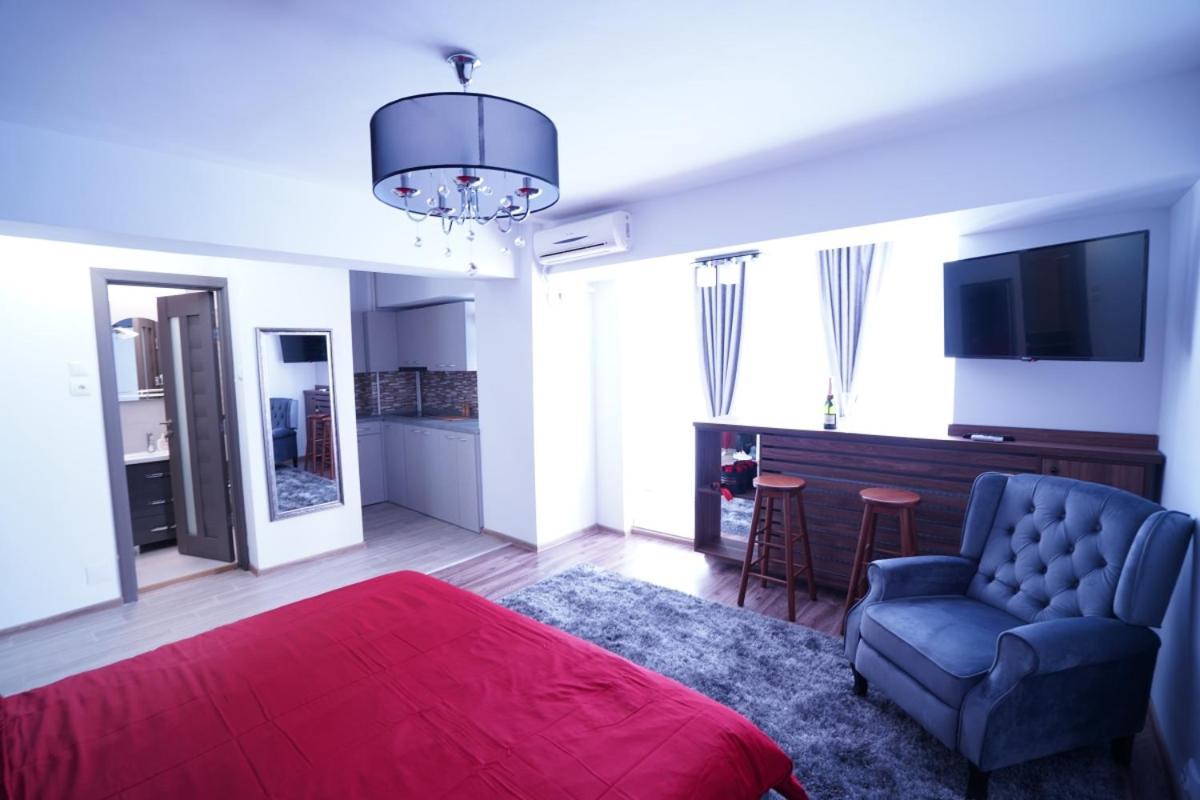 Luxury 1Br Studio Near Hanul Drumetului Bucureşti Ngoại thất bức ảnh